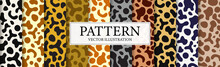 Set Of 10 Patterns Different Skin Textures - Vector