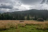 Fototapeta Krajobraz - Dolina Chochołowską  tuż przed burzą