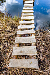 Wall Mural - wooden footbridge at a park