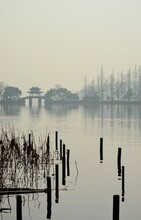 Fog On Chinese Lake