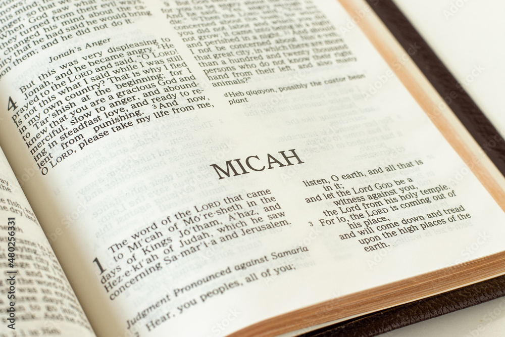 Micah open Holy Bible Book close-up. Old Testament Scripture prophecy ...