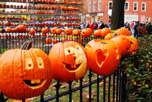 Pumpkins Are Placed To An Iron Fence, Like Heads On A Stake, At A Pumpkin Festival In New England