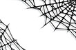 © liu_miu - Spider web corners on white background. Spooky Halloween cobweb. Handrawn vector illustration