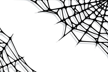 Spider web corners on white background. Spooky Halloween cobweb. Handrawn vector illustration