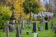 Old cemetery and tombstones in the park in autumn