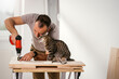 The man folds the furniture while his cat sits next to him and cuddles up