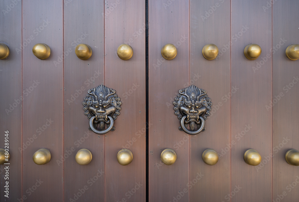 dragon head door knocker on a large wooden door Stock Photo | Adobe Stock