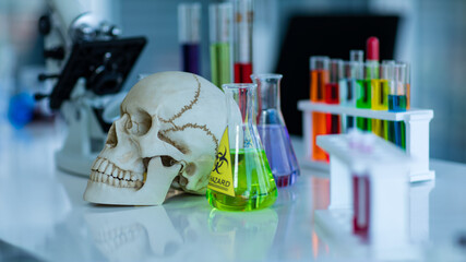 Wall Mural - Close up shot of human skull anatomy model in laboratory and scientific glassware flask with yellow hazard sign, test tubes in plastic rack, volumetric cylinder and microscope on blurred background