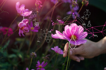Wall Mural - biology laboratory nature and science, hand man touch of nature, flower and plants with biochemistry