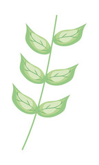 Poster - branch with leaves