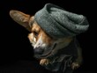Pies rasy corgi pembroke w czapce i szaliku na czarnym tle