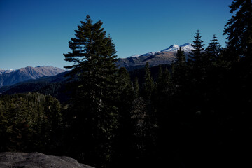 Poster - Trees mountains rocks landscape nature travel