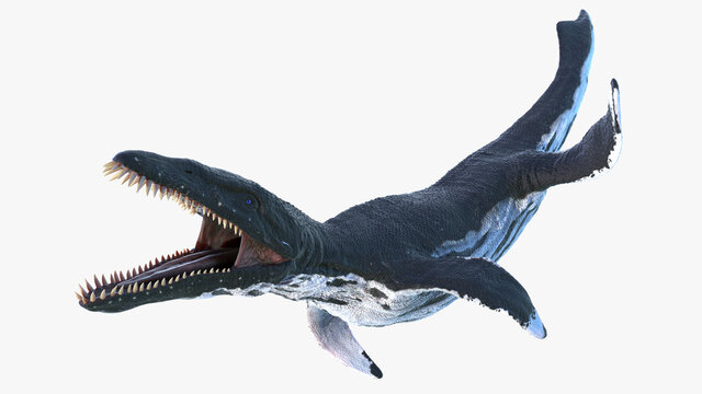 3d rendered illustration of a Liopleurodon