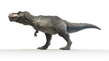 3d Rendered Illustration Of A Tyrannosaurus Rex