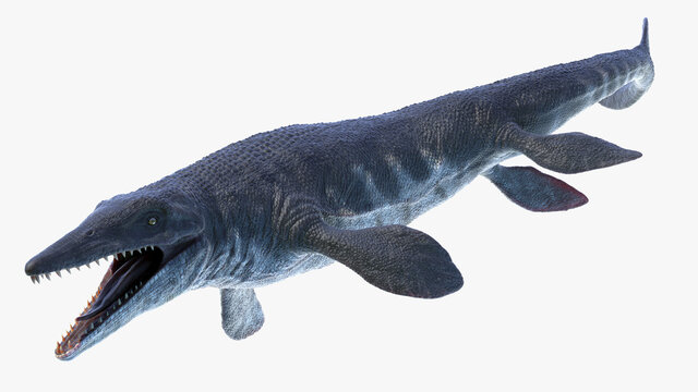 3d rendered illustration of Tylosaurus