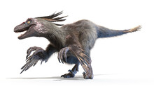 3d Rendered Illustration Of A Velociraptor
