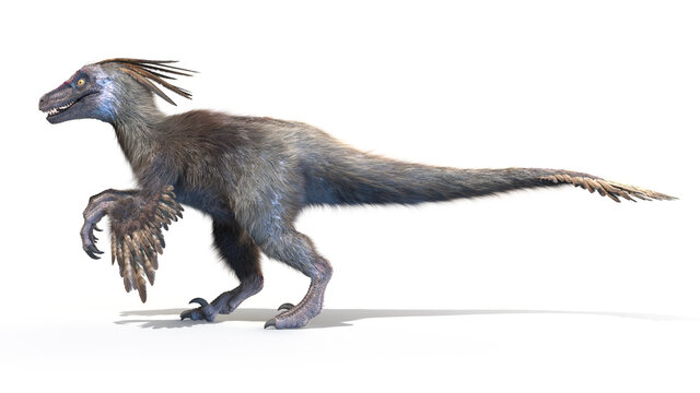 3d rendered illustration of a Velociraptor