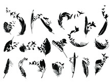 Set Of Feathers With Birds Flying Away. Collection Of Stylized Feathers With A Flock Of Birds. Vector Illustration Isolated On White Background. Tattoo.