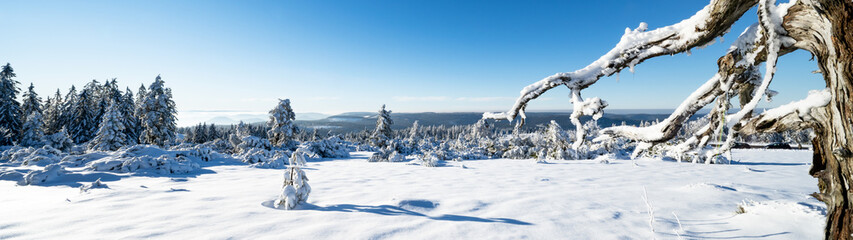 Stunning panorama of snowy landscape in winter in Black Forest - Snow view winter wonderland snowscape background banner with branch of tree, icicle blue sky and sunshine