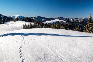 Wall Mural - Snowy white landscape in winter mountains