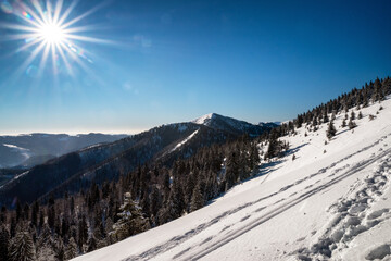 Wall Mural - Cold sunny day in snowy winter mountains