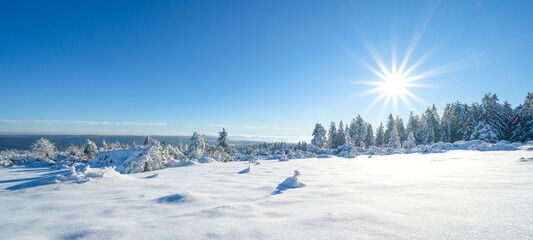 Wall Mural - Stunning panorama of snowy landscape in winter in Black Forest - Snow view winter wonderland snowscape background banner with blue sky and sunshine