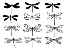 Set Of Stylized Dragonflies. Collection Of Linear Flying Dragonflies. Vector Illustration Of On A White Background.