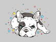 Сute french bulldog puppy. Image for printing on any surface