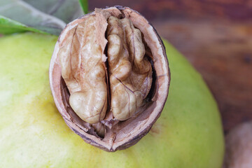 Wall Mural - half a walnut with a kernel on a fresh quince macro