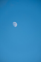 moon and a blue sky