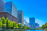 Fototapeta Tulipany - 東京の都市風景 馬場先濠と丸の内の高層ビル群