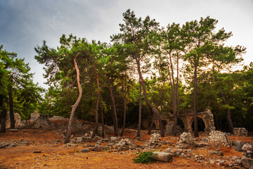 Poster - PHASELIS, TURKEY: Ruins of the Ancient city of Phaselis in the forest.