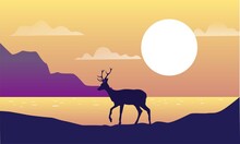Illustration Of A Deer In Sunset