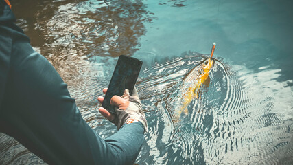 Wall Mural - An angler photographs the trout he has caught.