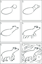 Polar Bear Drawing Instruction And Coloring Book