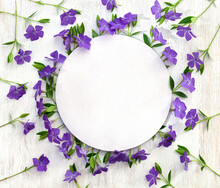 Blue Violet Flowers Periwinkle And White Paper Card Note With Space For Text On A White Wooden Table. Top View, Flat Lay