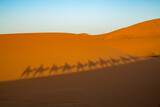 Fototapeta  - Shadows of tourist in a caravan riding dromedaries in the Sahara desert sand dunes near Merzouga. High quality photo