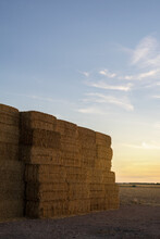 A Pile Of Straw In A Field Where Cattle Are Being Raised At Dusk.