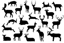 Various Deer Silhouettes Vector Illustration