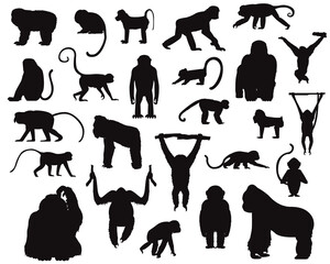 Various Ape and Monkey Silhouettes Vector Illustration