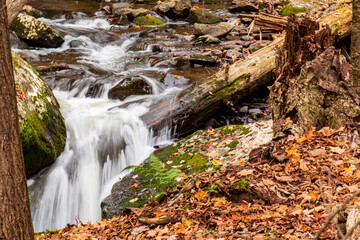 waterfall in autumn