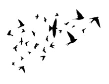 A Flock Of Flying Birds. Free Birds. Flying Swallows. Vector Illustration