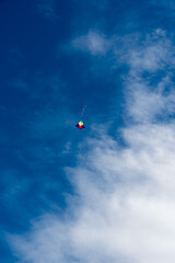 Wall Mural - colorful kites flying over the sky