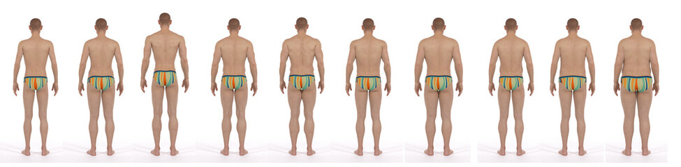 Wall Mural - 3D Render : the diversity of male body shape including  ectomorph (skinny type), mesomorph (muscular type), endomorph(heavy weight type), back view