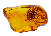 Spider Inclusion In Natural Amber. Macro Photography.