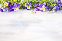 Small, Beautiful, Violet Flowers, Grass, On Wooden White Board, Table