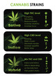 cannabis indica and sativa strains species information graphic guide