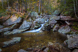 Fototapeta Las - Hiking Mount Pierce, New Hampshire