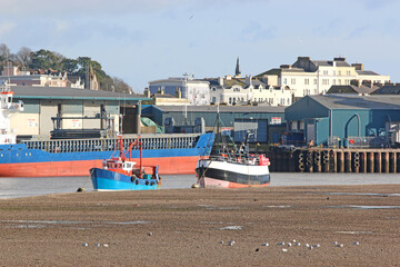 Wall Mural - Teignmouth dock at low tide	