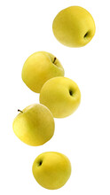 Falling Yellow Apples Isolated On A White Background With A Clipping Path.